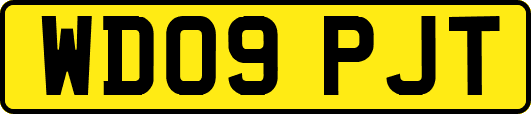 WD09PJT