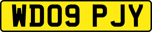 WD09PJY