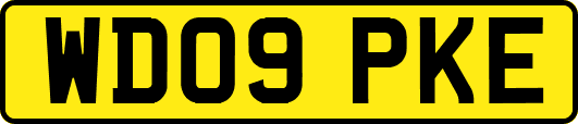 WD09PKE