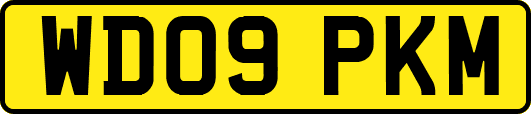 WD09PKM