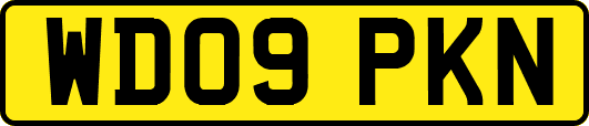 WD09PKN