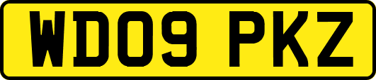 WD09PKZ