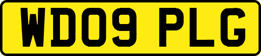 WD09PLG