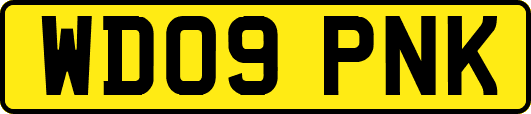 WD09PNK