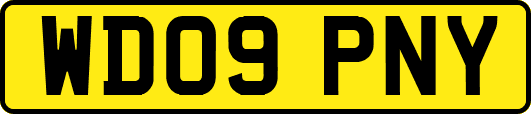 WD09PNY