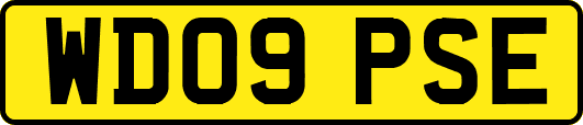 WD09PSE