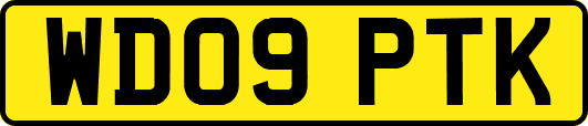 WD09PTK