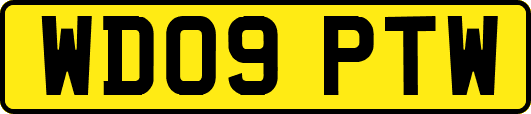 WD09PTW
