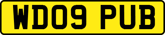 WD09PUB