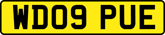 WD09PUE