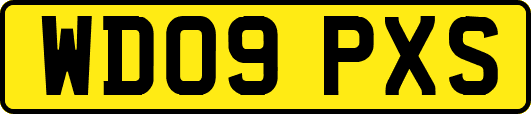 WD09PXS