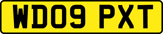 WD09PXT