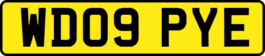 WD09PYE