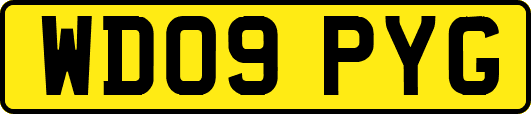 WD09PYG