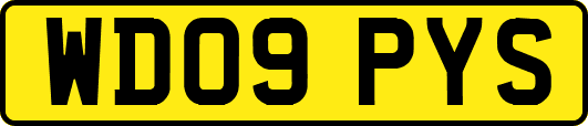 WD09PYS