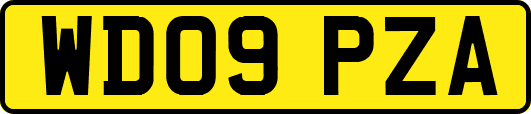 WD09PZA