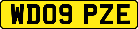 WD09PZE