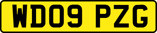 WD09PZG