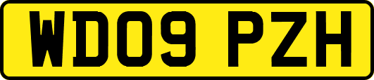 WD09PZH