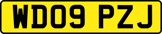 WD09PZJ