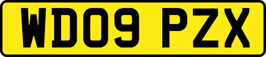 WD09PZX