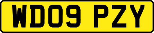 WD09PZY