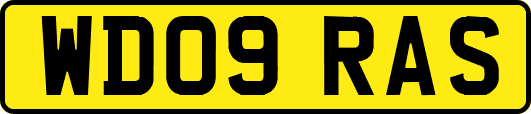 WD09RAS