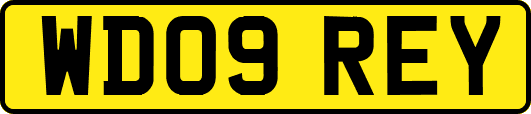 WD09REY