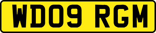 WD09RGM
