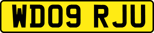 WD09RJU