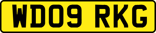 WD09RKG