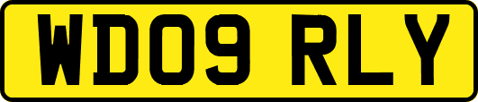 WD09RLY
