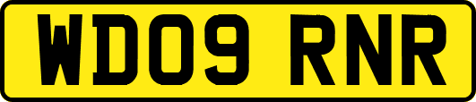 WD09RNR