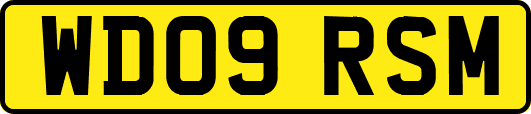 WD09RSM