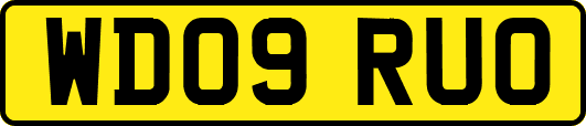 WD09RUO