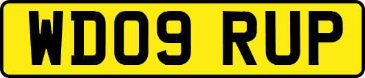 WD09RUP