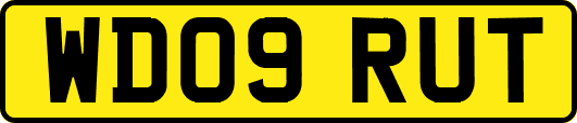 WD09RUT