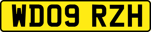 WD09RZH