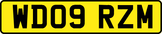 WD09RZM