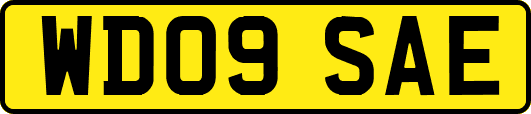 WD09SAE