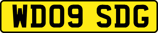 WD09SDG