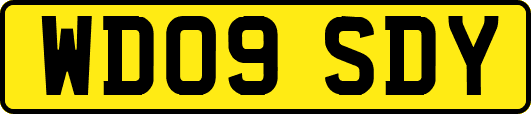 WD09SDY