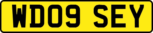 WD09SEY