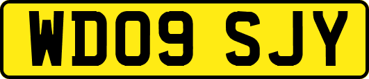 WD09SJY