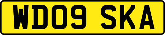 WD09SKA