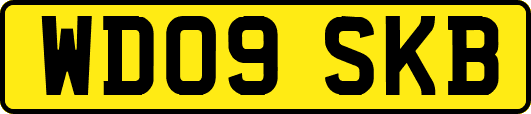 WD09SKB