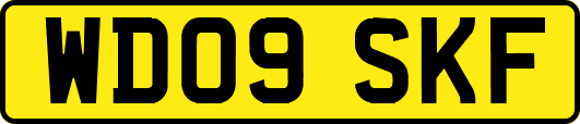 WD09SKF