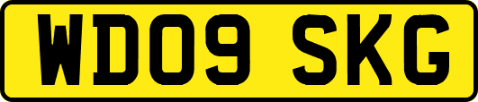WD09SKG