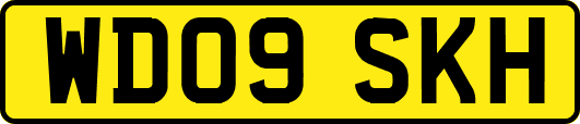 WD09SKH