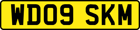 WD09SKM